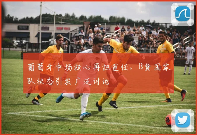 葡萄牙中场核心再担重任，B费国家队状态引发广泛讨论
